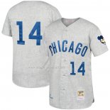 Maglia Baseball Uomo Chicago Cubs Ernie Banks Mitchell & Ness 1969 Away Autentico Grigio
